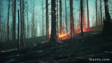 雨林火灾是人类引起的火灾